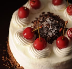 シュバルツバルダー